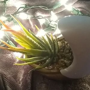 Crescent moon decore